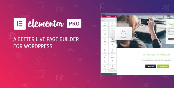 Elementor Pro WordPress Plugin